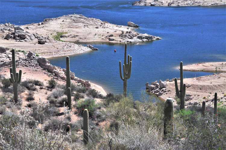 bartlett lake